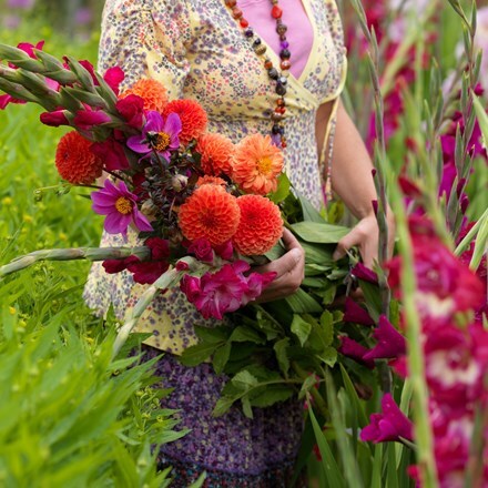 Picture of Bulb collection for the vase