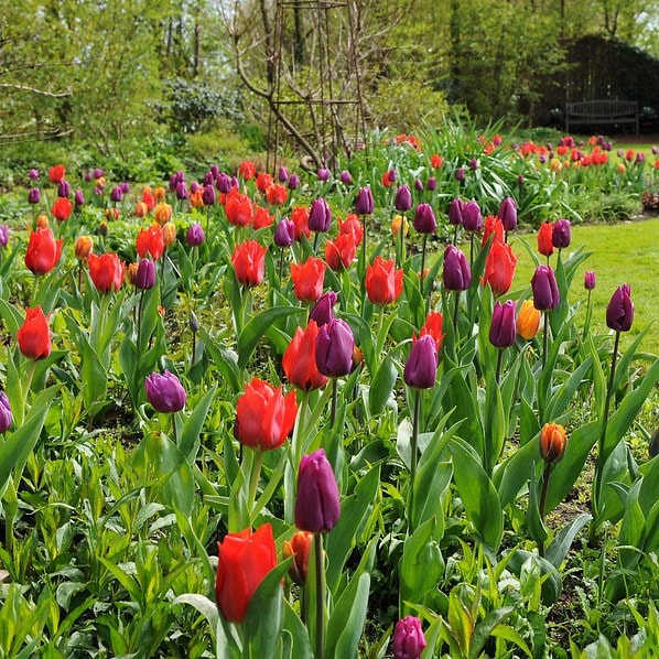 Product options image