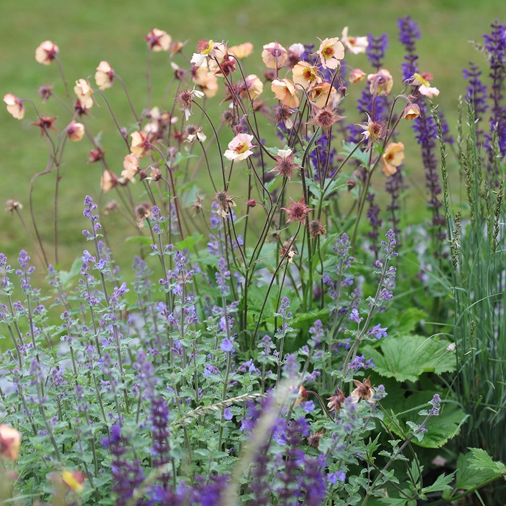 Product options image