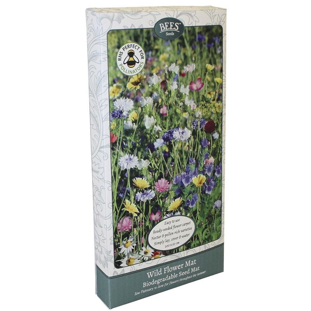 Buy Bees Seeds - Seed Mat Wildflower Mat Seed Carpet: £9.99 Delivery By ...