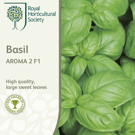 Picture of basil Aroma 2