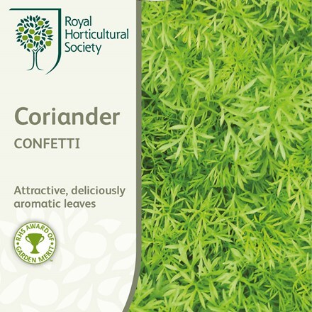 Picture of coriander Confetti