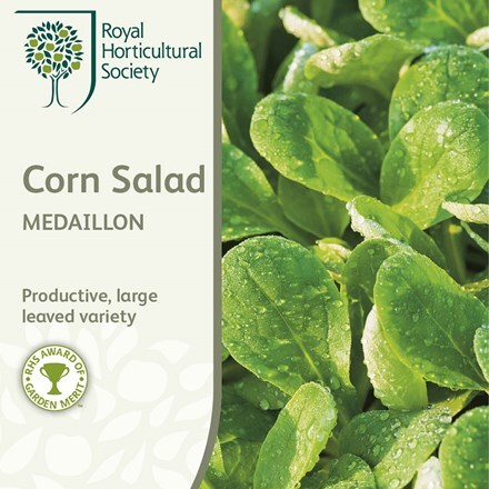 Picture of corn salad Medaillon