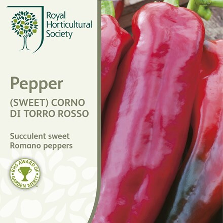Picture of sweet pepper Corno di Toro Rosso