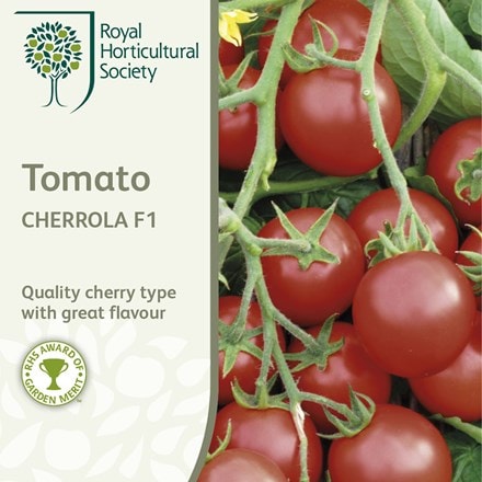 Picture of tomato Cherrola