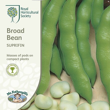 Picture of broad bean Suprifin