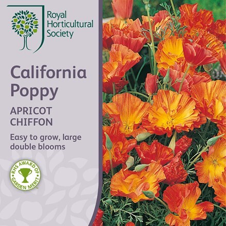 Picture of Eschscholzia californica Apricot Chiffon (Thai Silk Series)