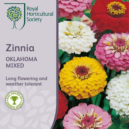 Picture of Zinnia Oklahoma Mixed (Oklahoma Series)