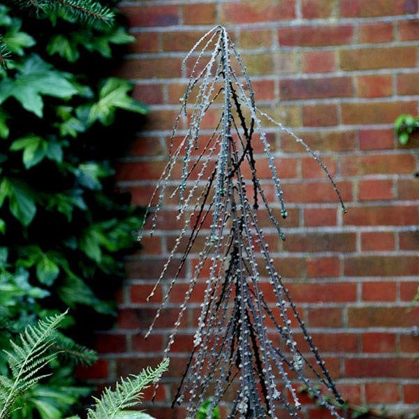 Product options image