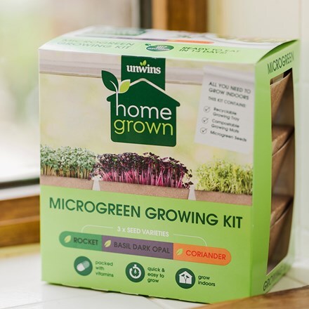 Microgreens windowsill growing kit