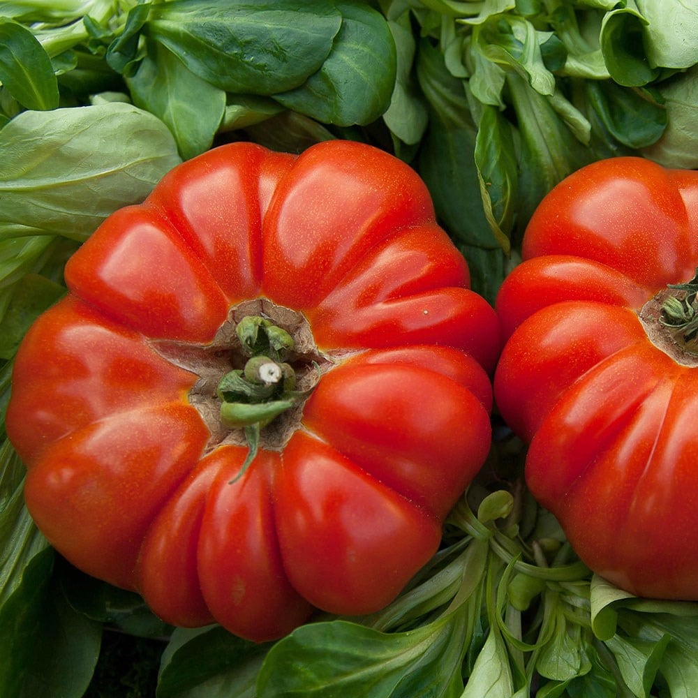 Product options image