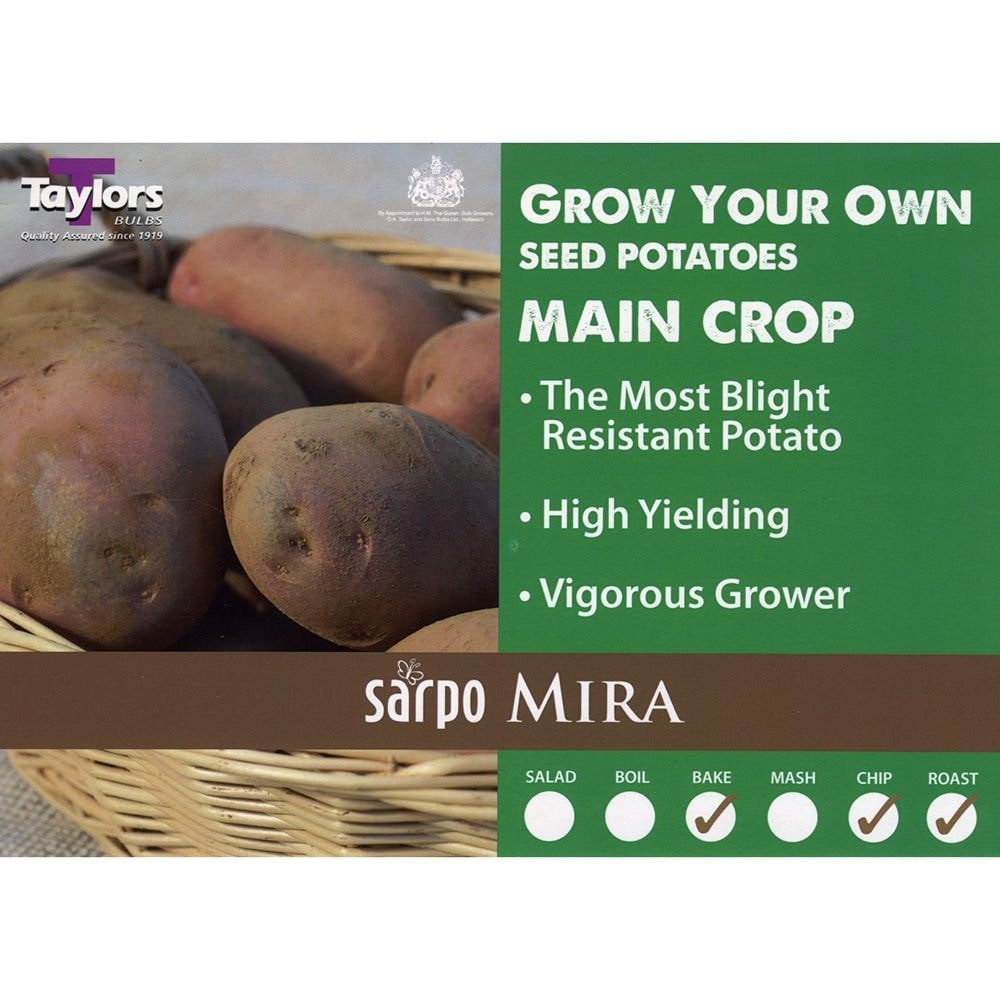 Sarpo blight resistant potato collection