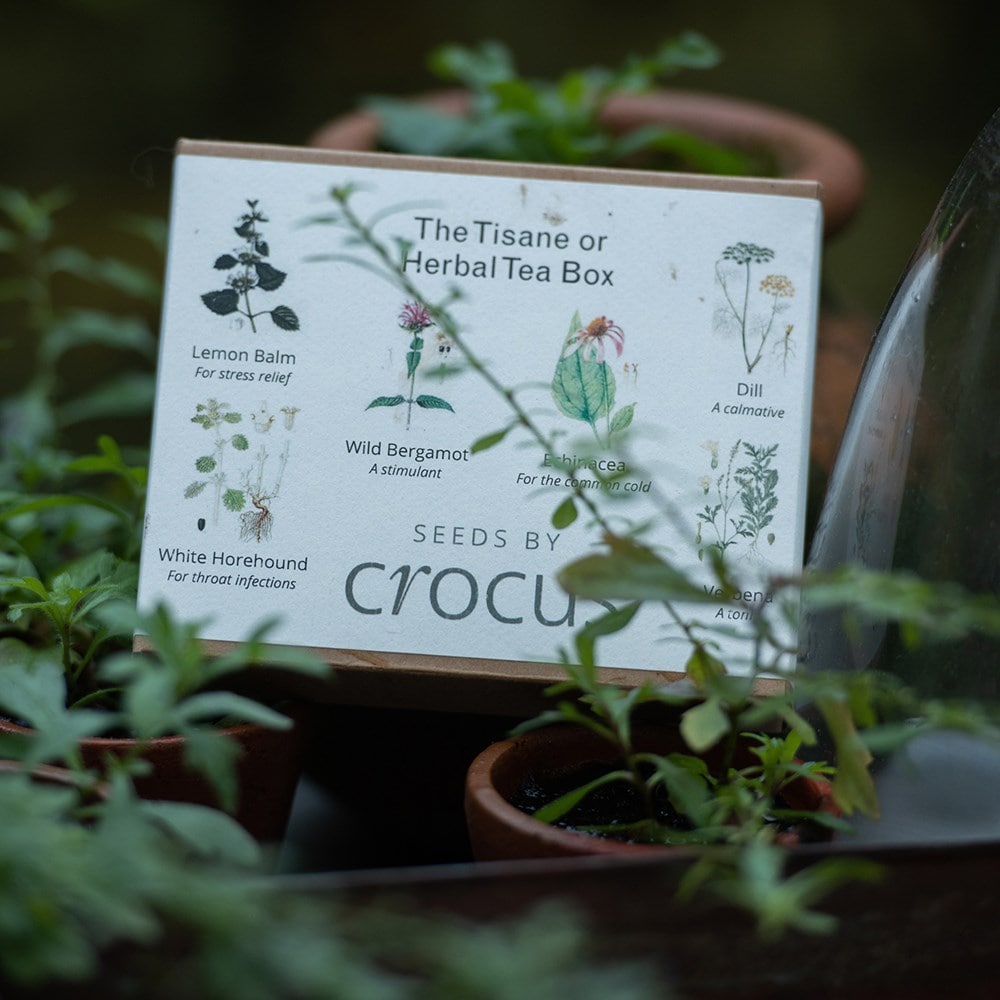 Herbal teas seed gift box