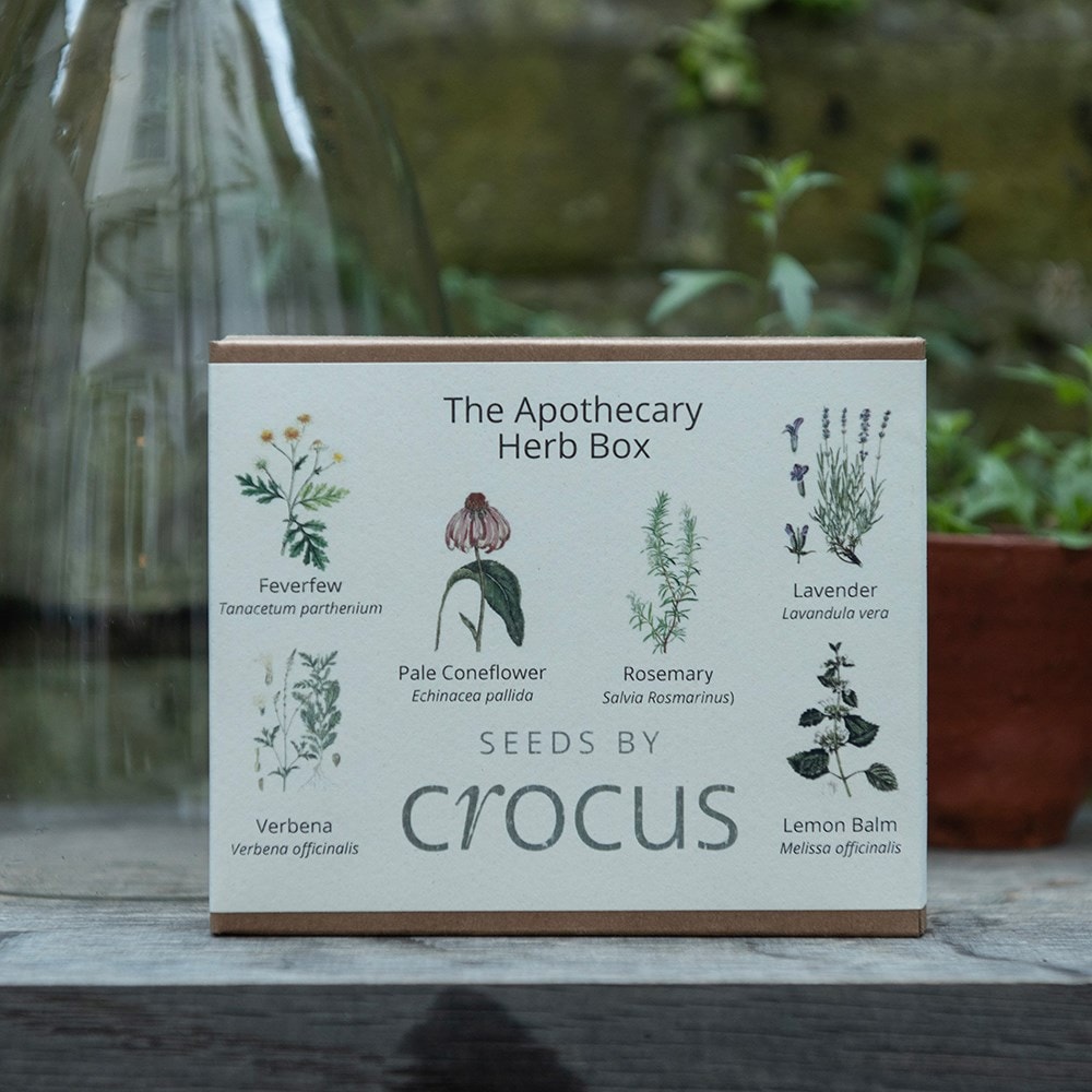 Apothecary herbs seed gift box