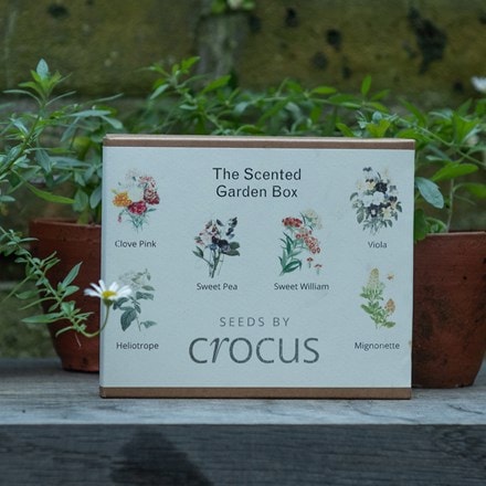 The scented garden seed gift box