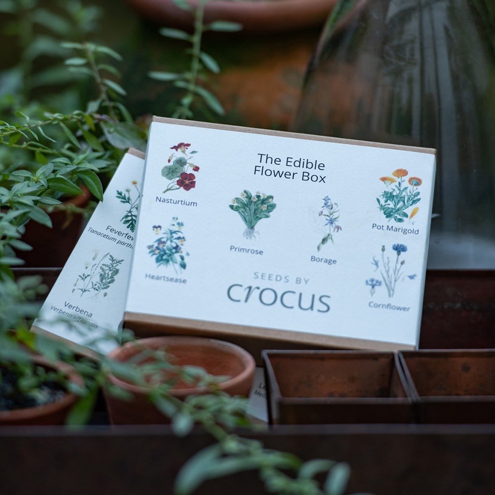 Product options image