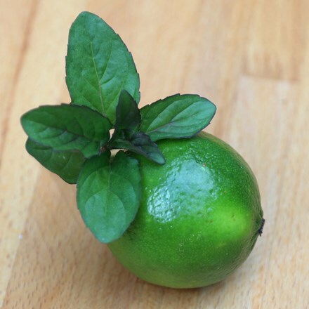 Mentha × piperita f. citrata Lime