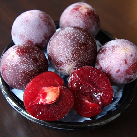 Picture of plumcot Flavor King (Pluot Series)