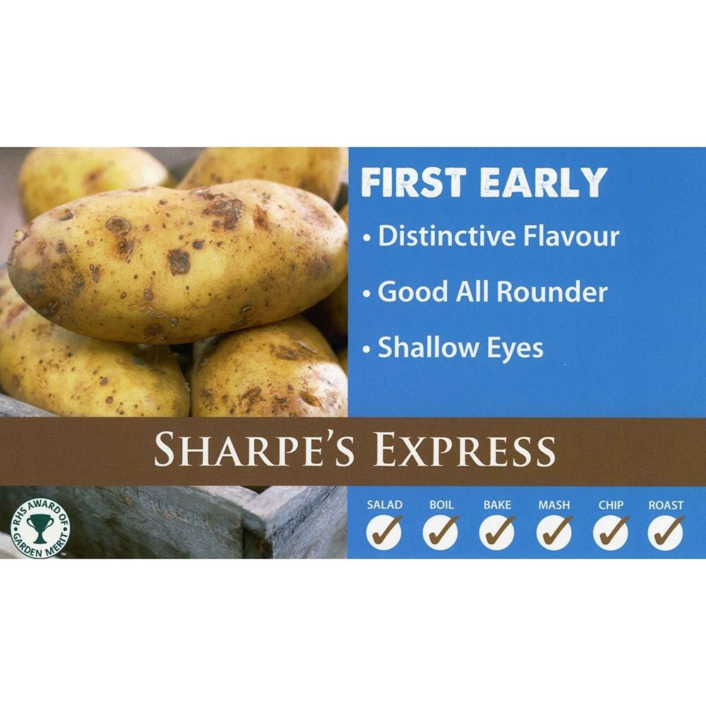 Buy seed potato for summer planting Scottish basic seed potato potato Sharpe's Express £2.62
