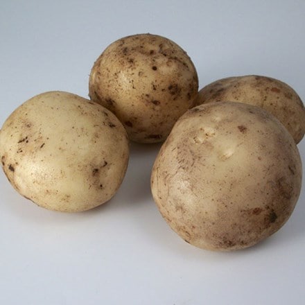 potato 'Pentland Javelin' (PBR)