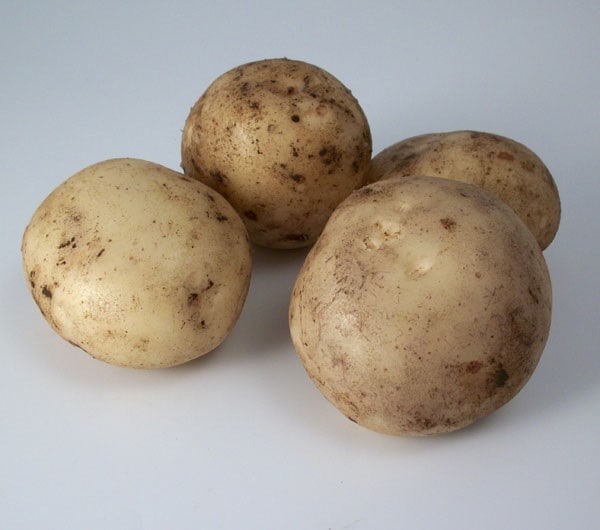 potato Pentland Javelin