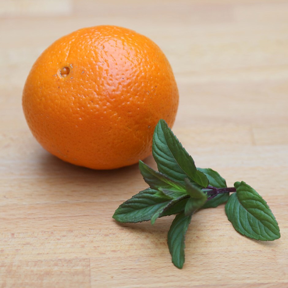 mint - orange mint