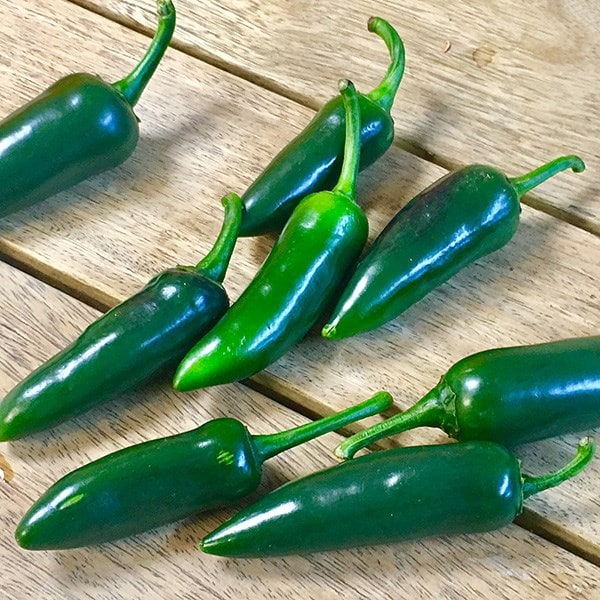 chilli Jalapeño