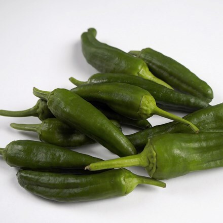 Picture of chilli Padron