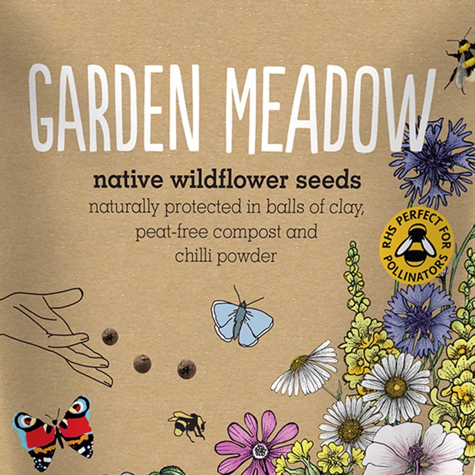 Seedballs native wildflowers for a garden meadow