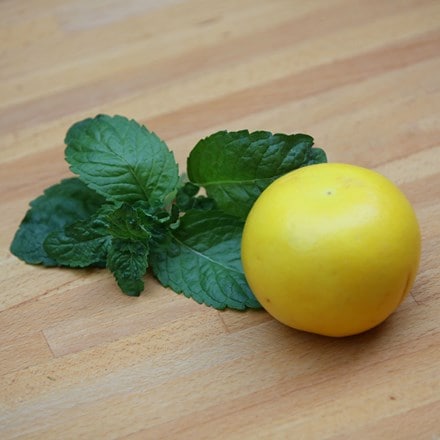 Mentha × piperita f. citrata Grapefruit