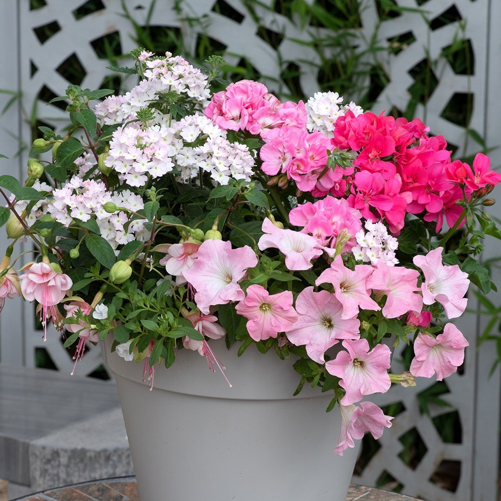 Bridal bouquet - Easyplanter for hanging baskets & patio pots