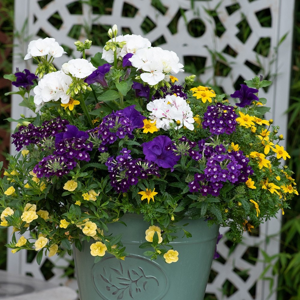 Nautical chic - Easyplanter for hanging baskets & patio pots