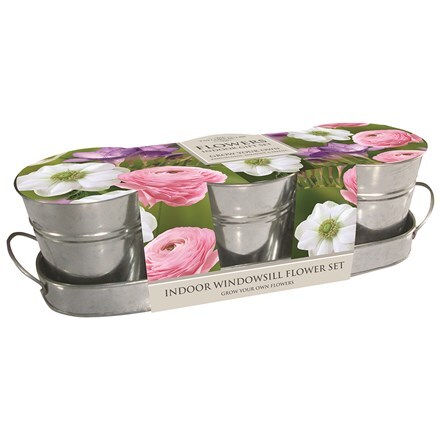 Picture of Pastel windowsill flower kit