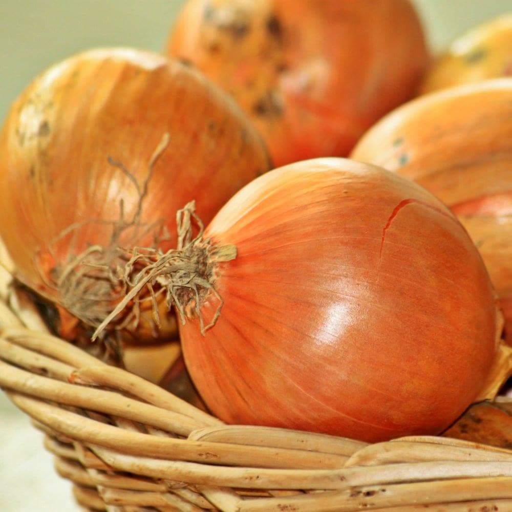 Product options image