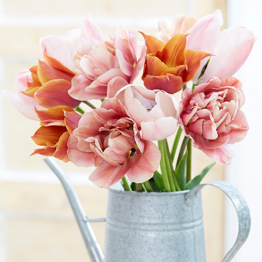 Product options image