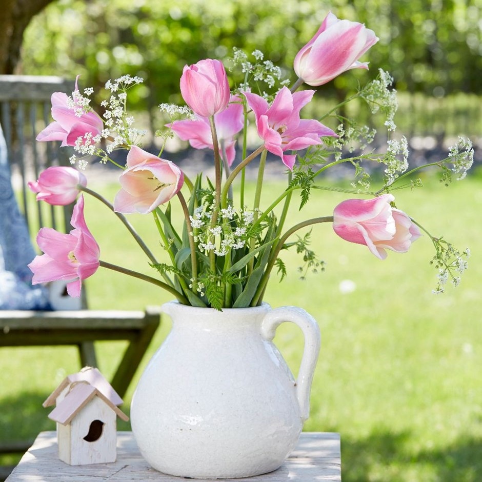Pretty in pink tulip collection - 54+27 Free bulbs