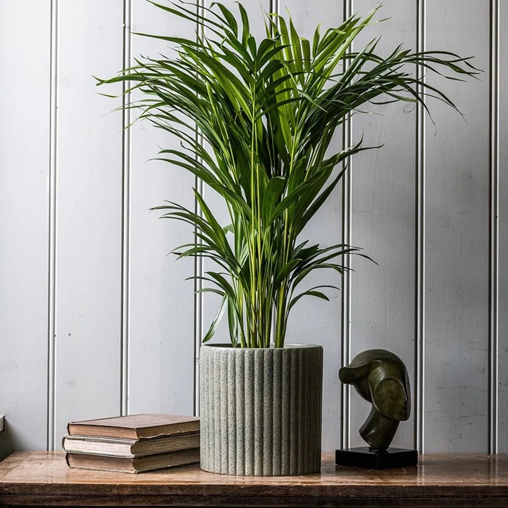 Product options image