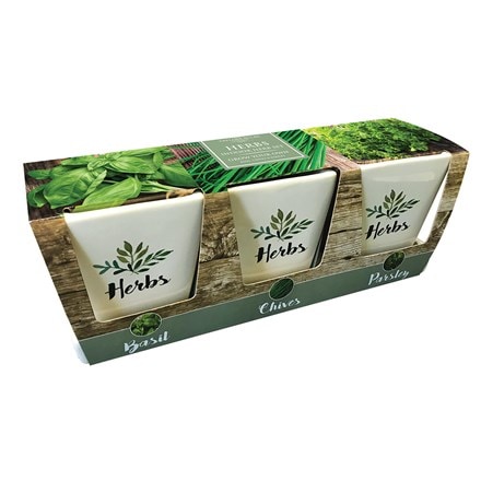 Picture of Ceramic windowsill herb gift set