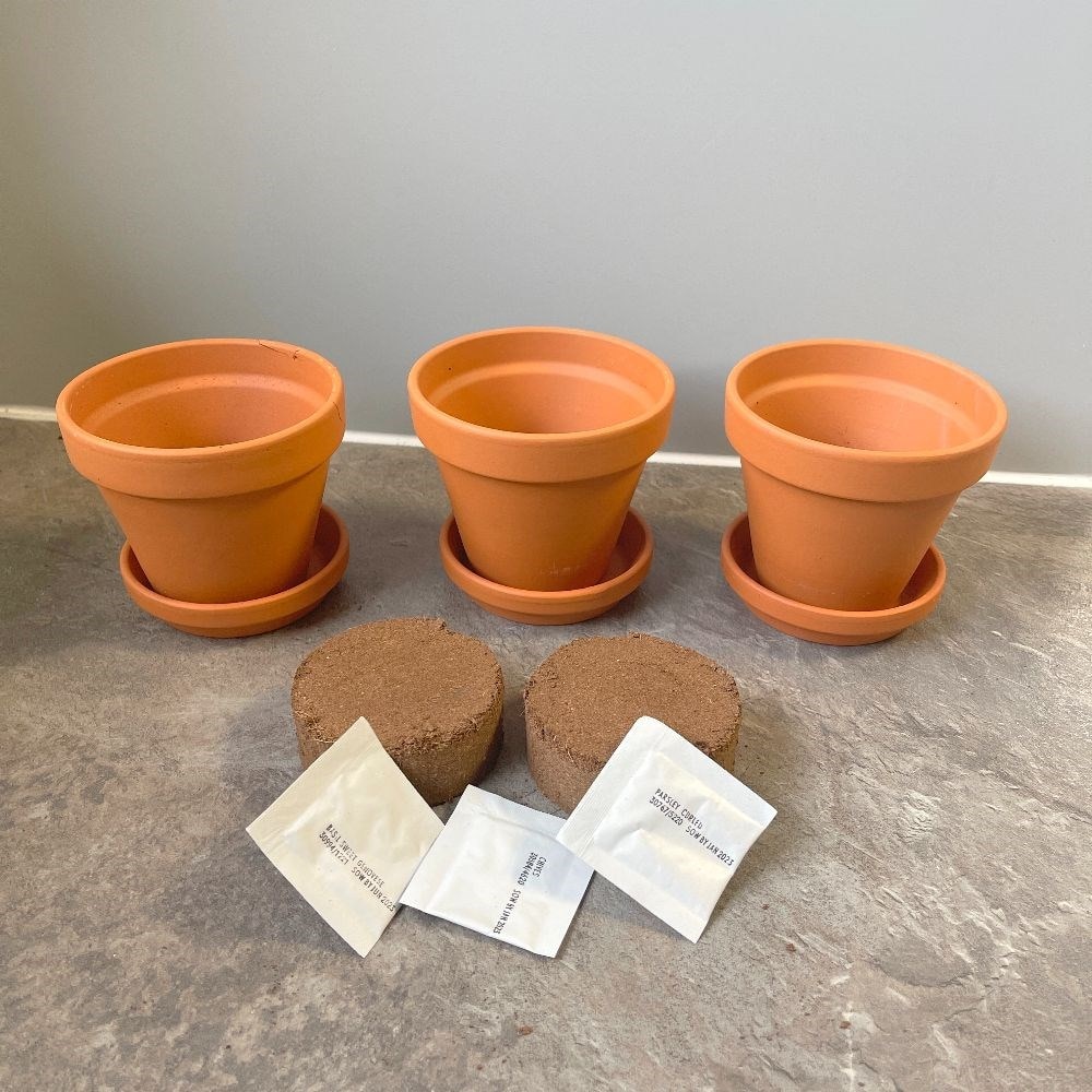 Buy gift set Ceramic windowsill herb \u002639;gift set\u002639;: Delivery by Waitrose Garden in association with 
