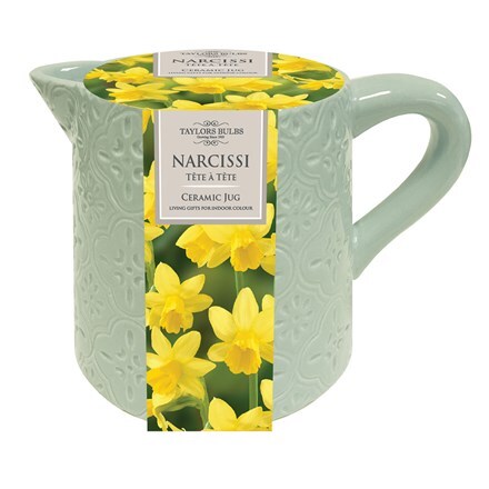 Picture of Indoor ceramic Narcissus jug
