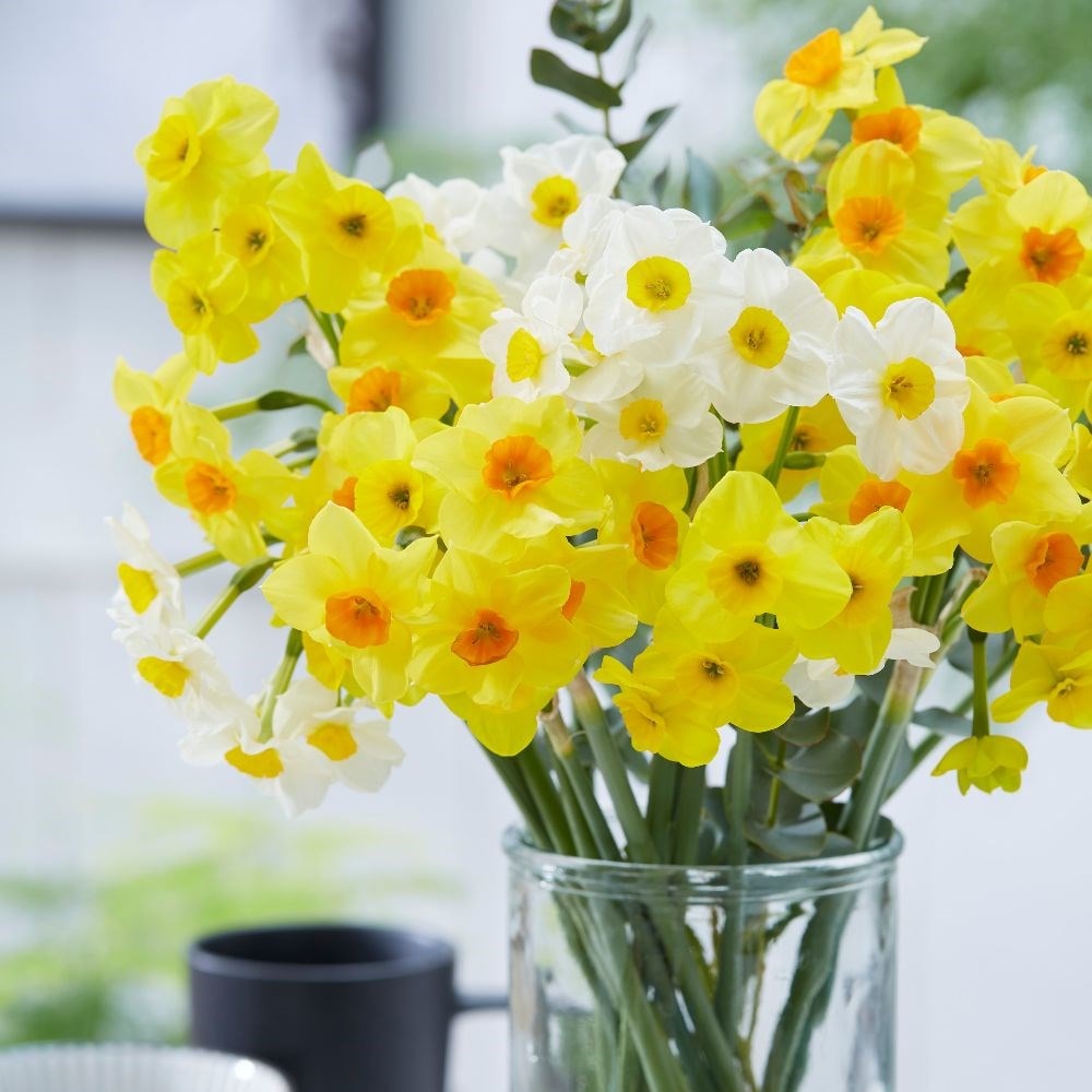 Product options image