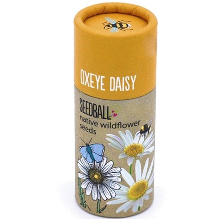 Seedballs ox-eye daisy seedbombs