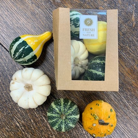Picture of Ornamental gourds for home decoration