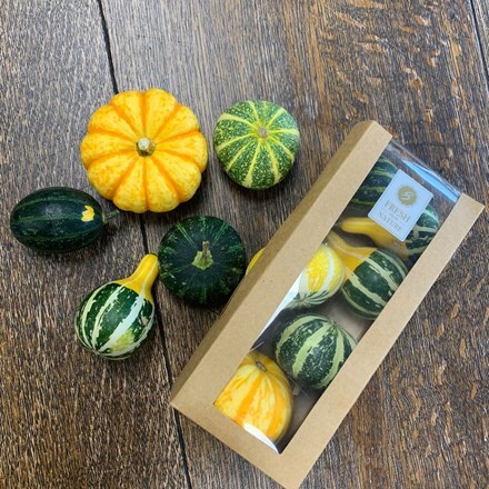 Picture of Ornamental gourds for home decoration