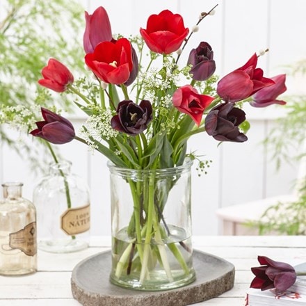 Plush velvet tulip collection