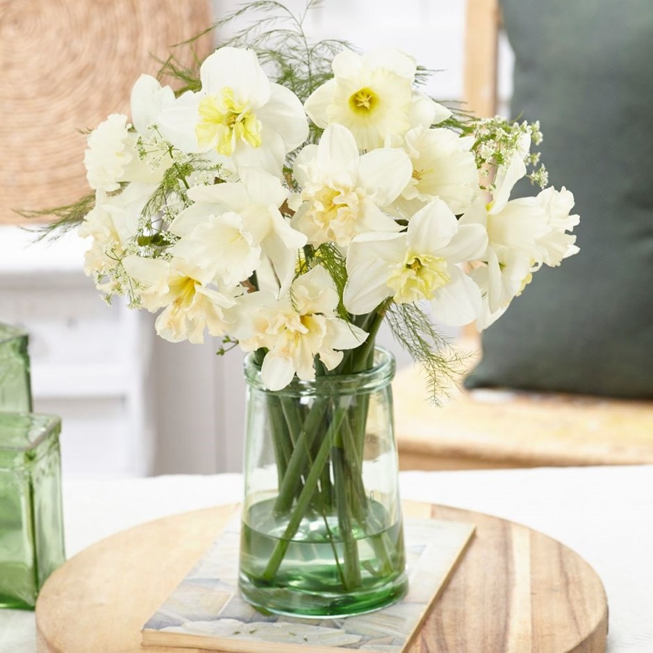 Blossom white daffodil collection