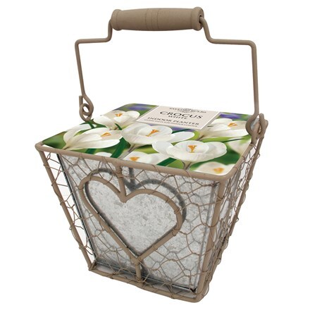 Picture of Indoor heart square planter