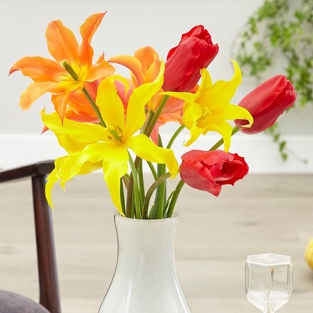 Picture of Sunrise tulip collection