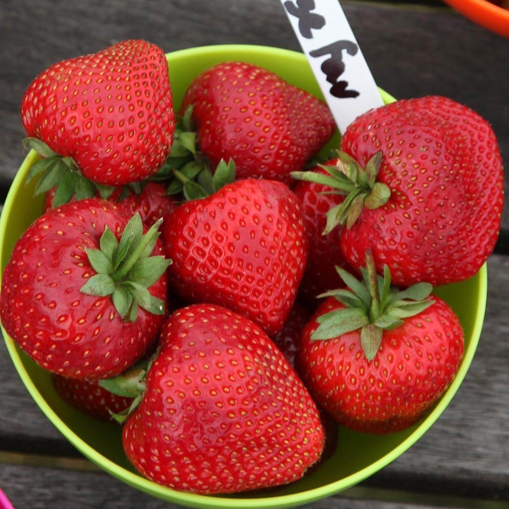 Product options image