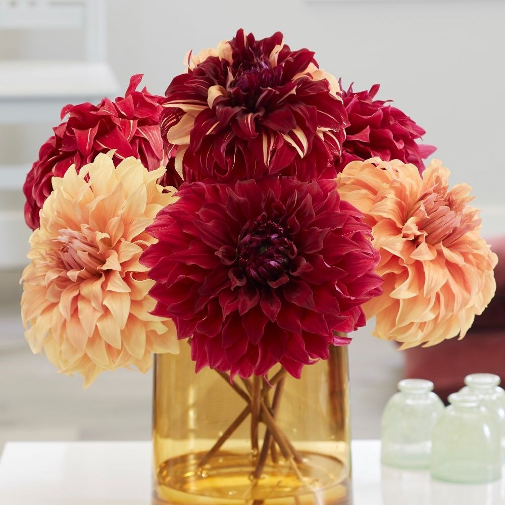 Product options image